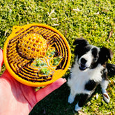 Earth eCoin (Flower)-Slow Feeder-Rover Pet Products